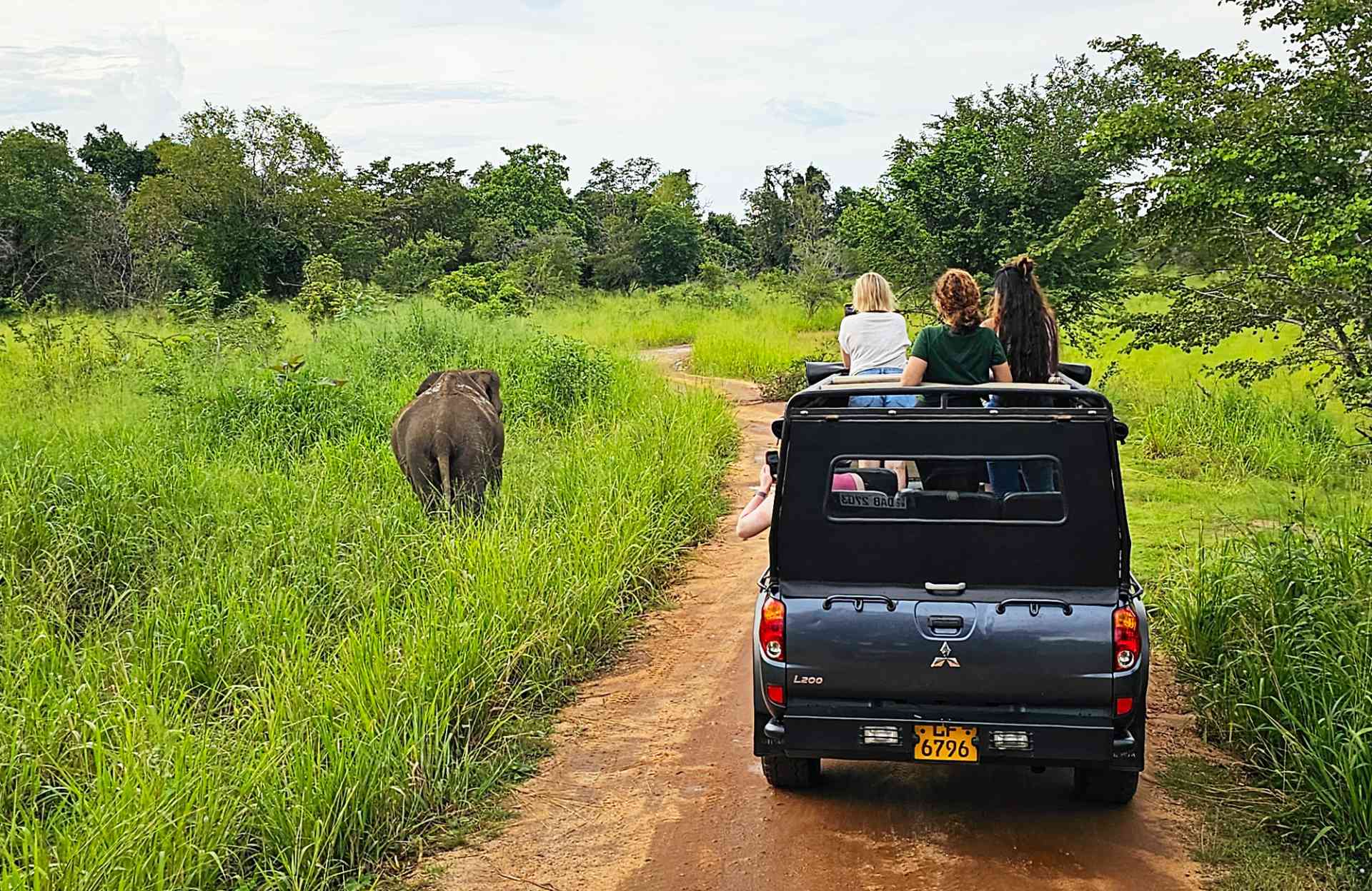 Minneriya National Park
